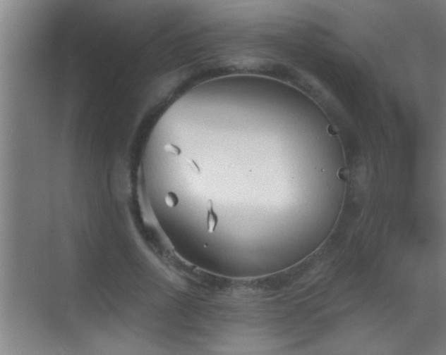 X0000069830734200605261840