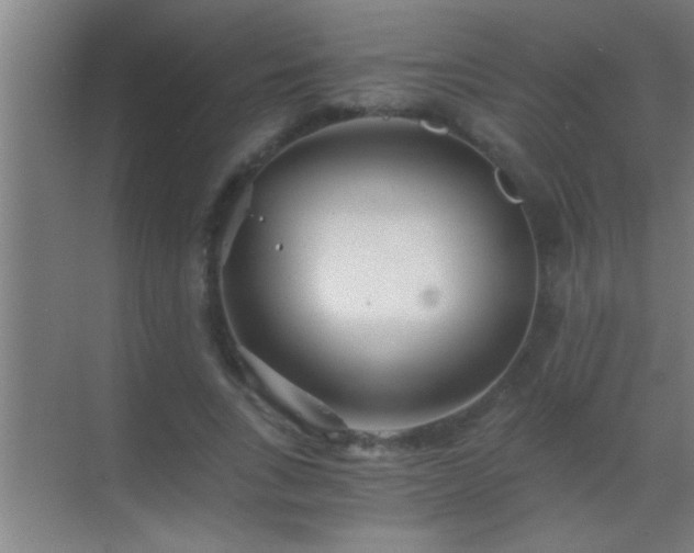 X0000069830735200605261840