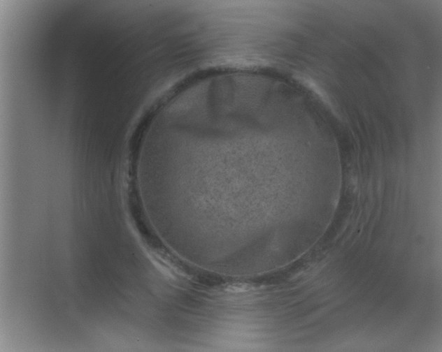 X0000069830736200605261840