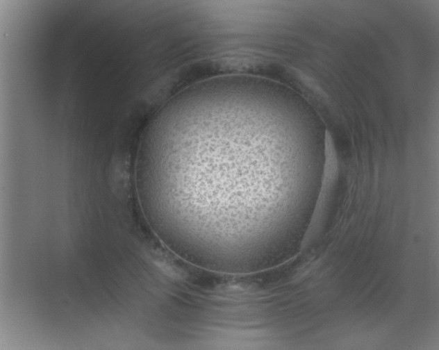 X0000069830737200605261840