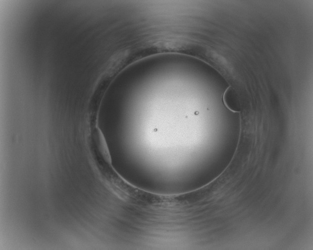 X0000069830738200605261840