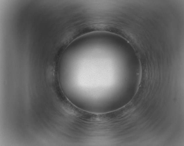 X0000069830739200605261840