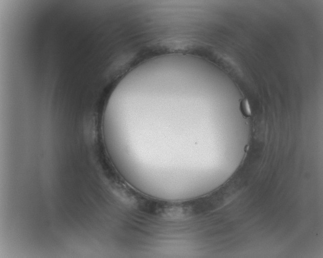 X0000069830740200605261840