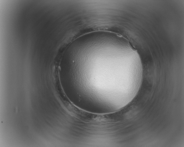 X0000069830742200605261840