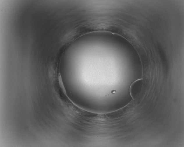 X0000069830743200605261840