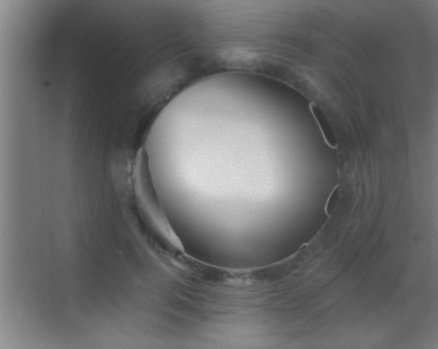 X0000069830744200605261840