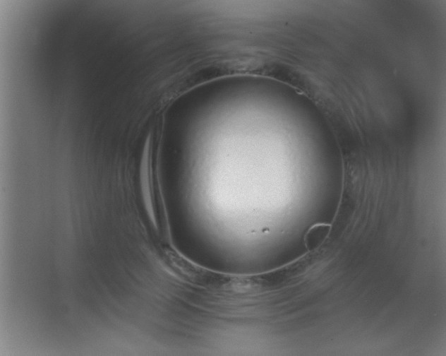 X0000069830745200605261840