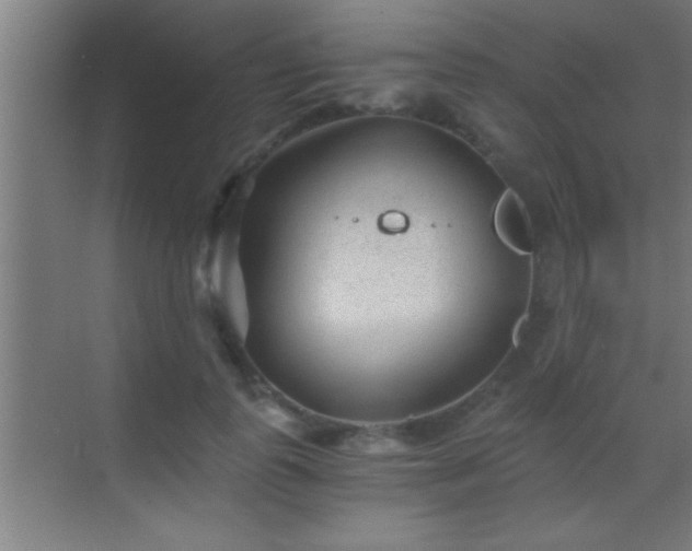 X0000069830747200605261840