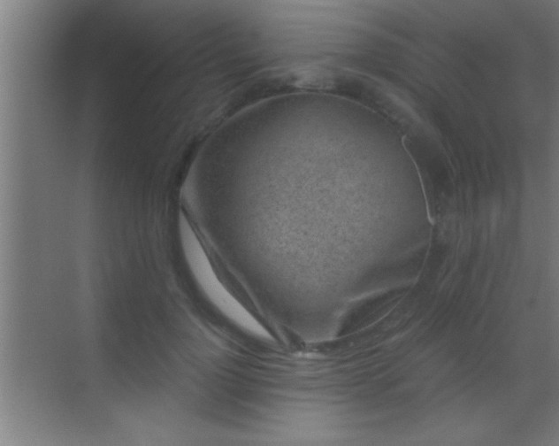 X0000069830748200605261840