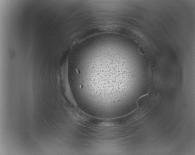 X0000069830749200605261840