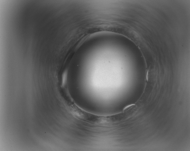 X0000069830750200605261840