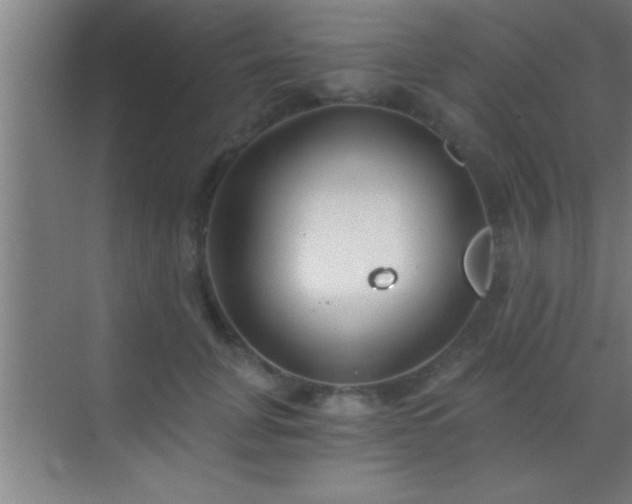 X0000069830751200605261840