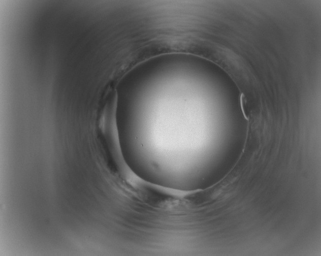 X0000069830752200605261840