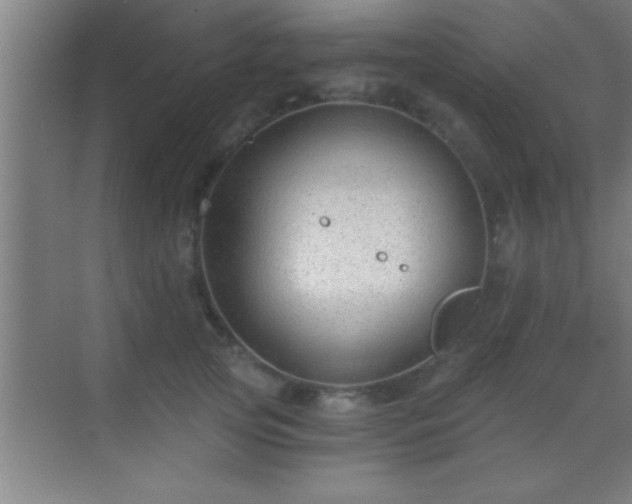 X0000069830753200605261840