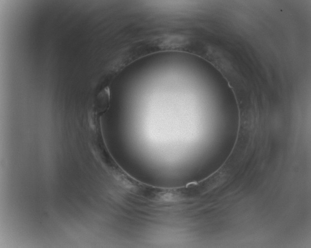 X0000069830755200605261841