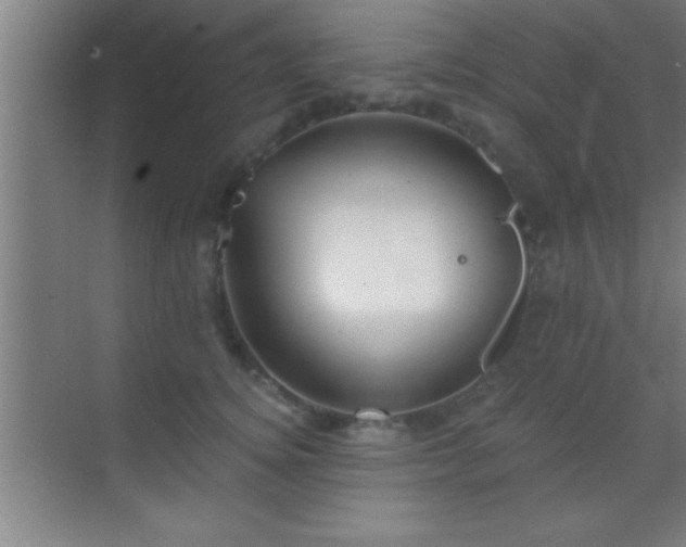 X0000069830756200605261841