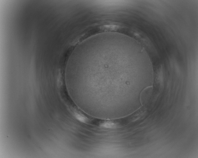 X0000069830759200605261841