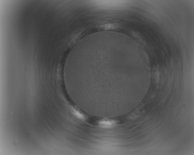 X0000069830760200605261841