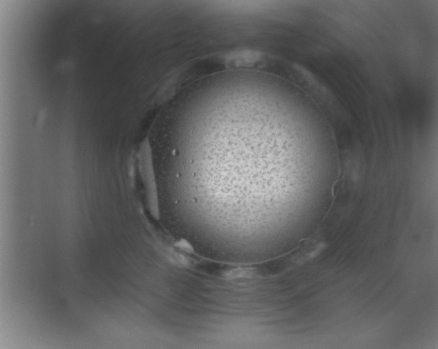 X0000069830761200605261841