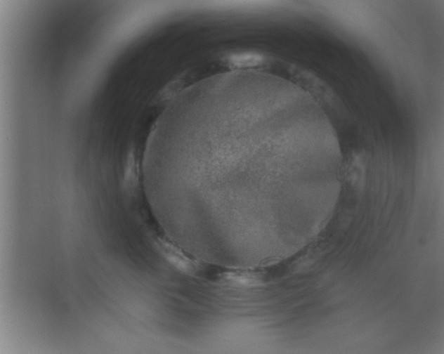 X0000069830763200605261841