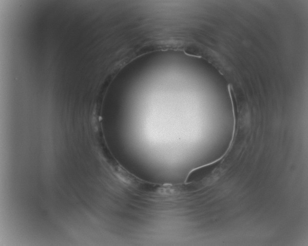 X0000069830764200605261841