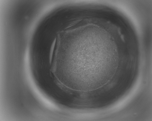 X0000069830765200605261841