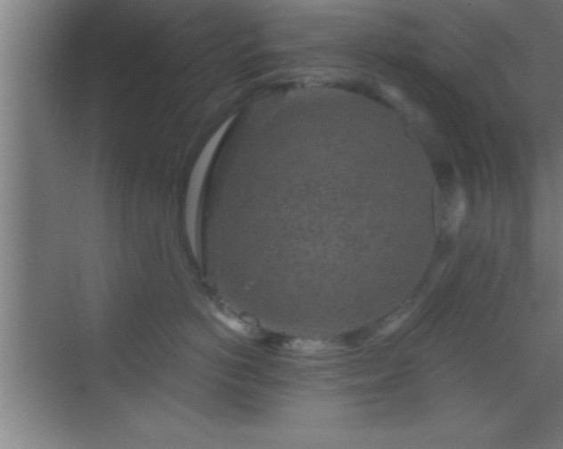 X0000069830766200605261841