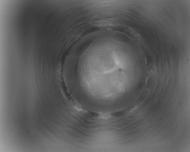 X0000069830767200605261841