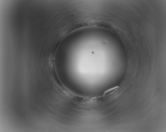 X0000069830768200605261841