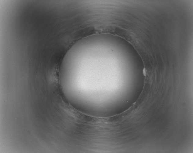 X0000069830770200605261840