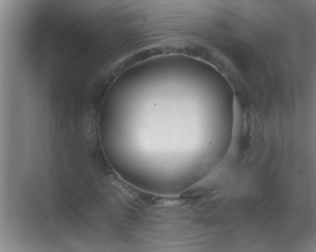 X0000069830773200605261840