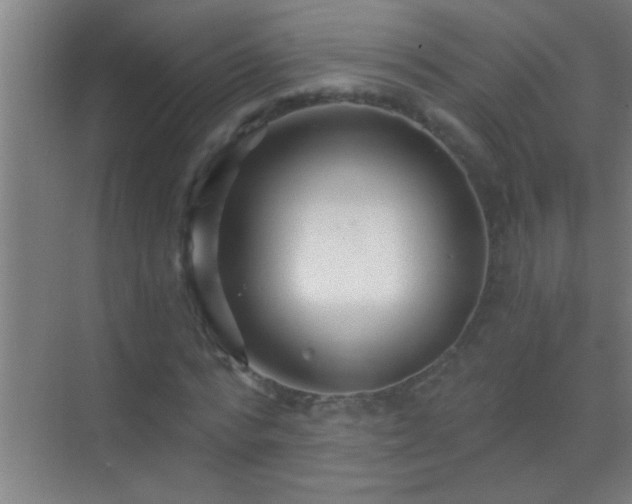 X0000069830776200605261840