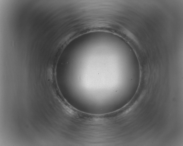 X0000069830777200605261840