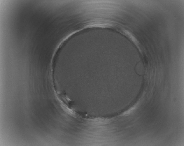 X0000069830779200605261840