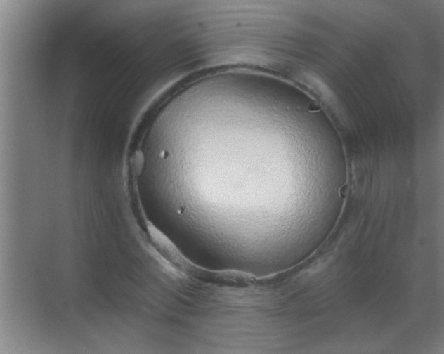 X0000069830780200605261840