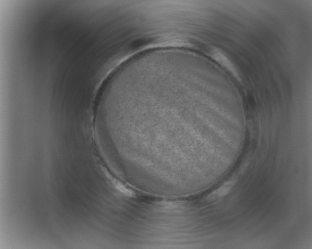 X0000069830781200605261840