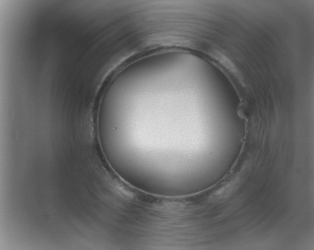 X0000069830782200605261840