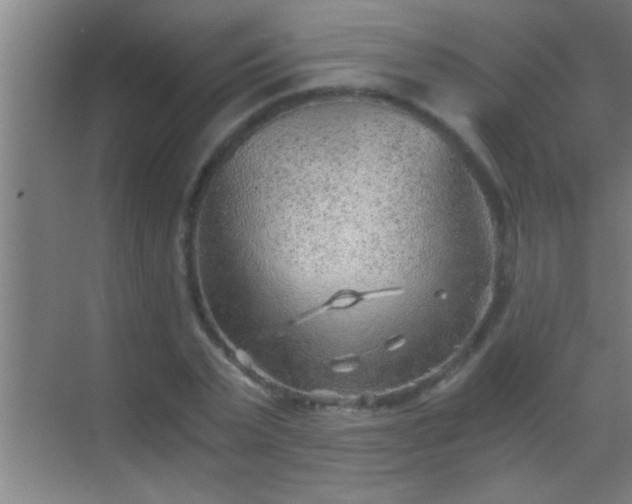 X0000069830783200605261840