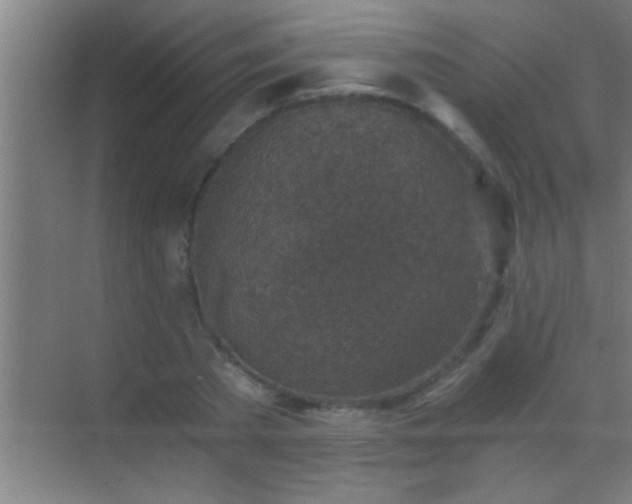 X0000069830785200605261840