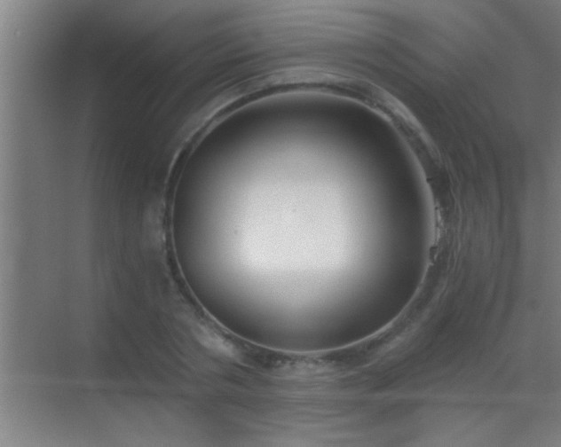 X0000069830786200605261840