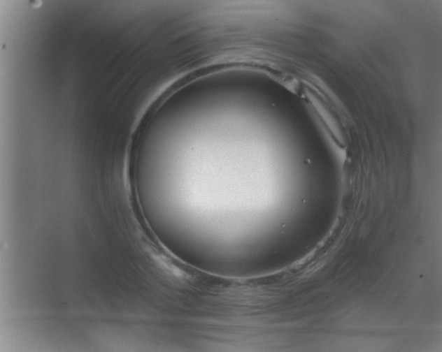 X0000069830788200605261840