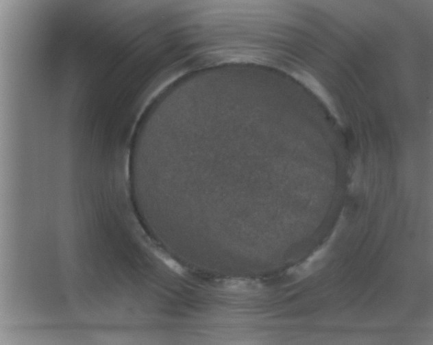 X0000069830790200605261840