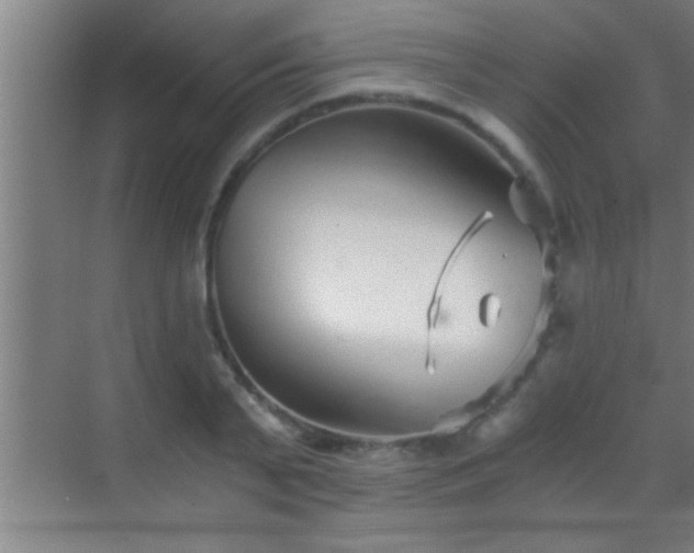 X0000069830791200605261840