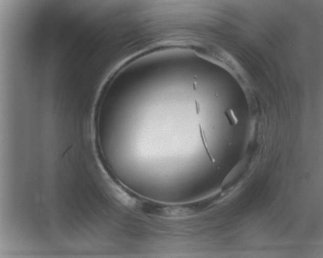 X0000069830795200605261839