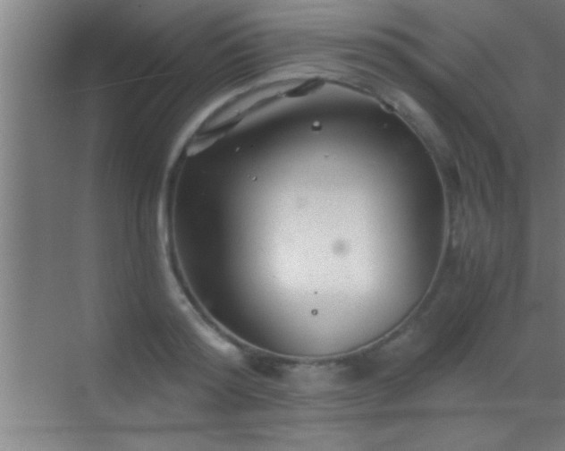 X0000069830796200605261839