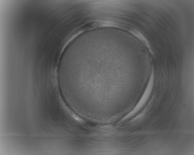 X0000069830798200605261839