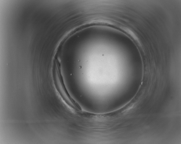 X0000069830799200605261839