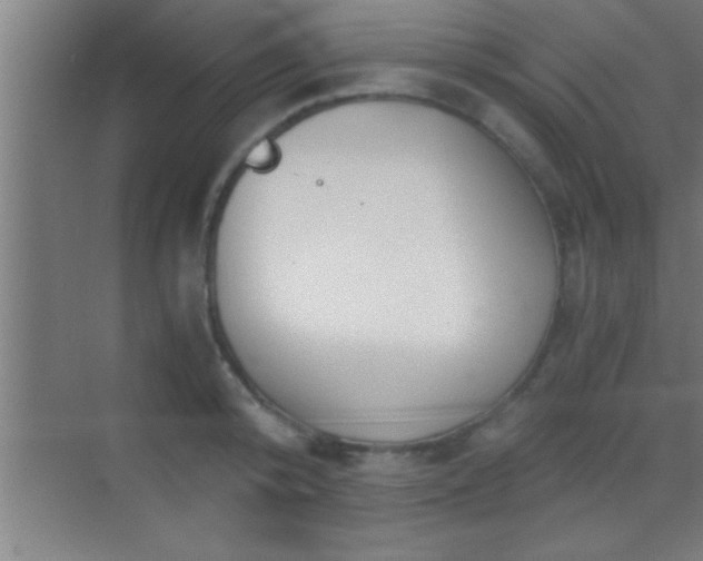 X0000069830800200605261839