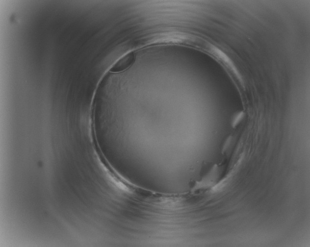 X0000069830802200605261839