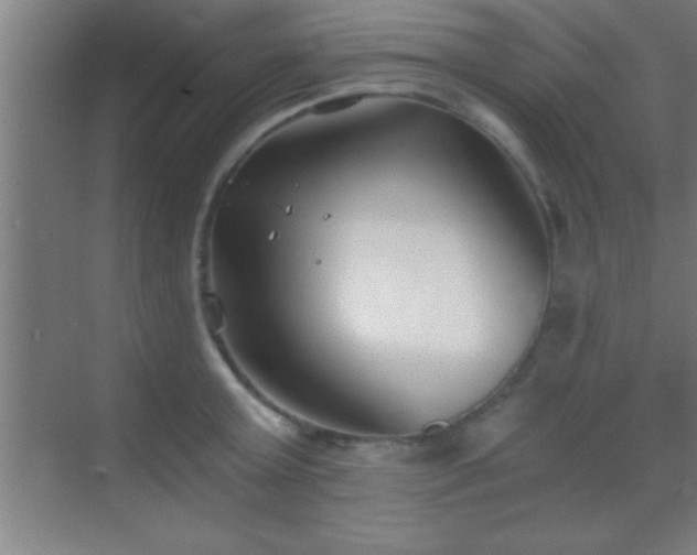 X0000069830803200605261839